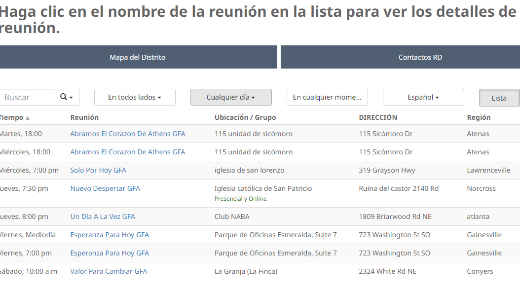 Meetings using Google Translate