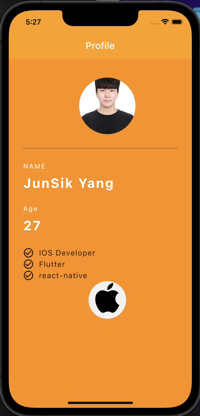 GitHub - caumannerman/Flutter_Examples