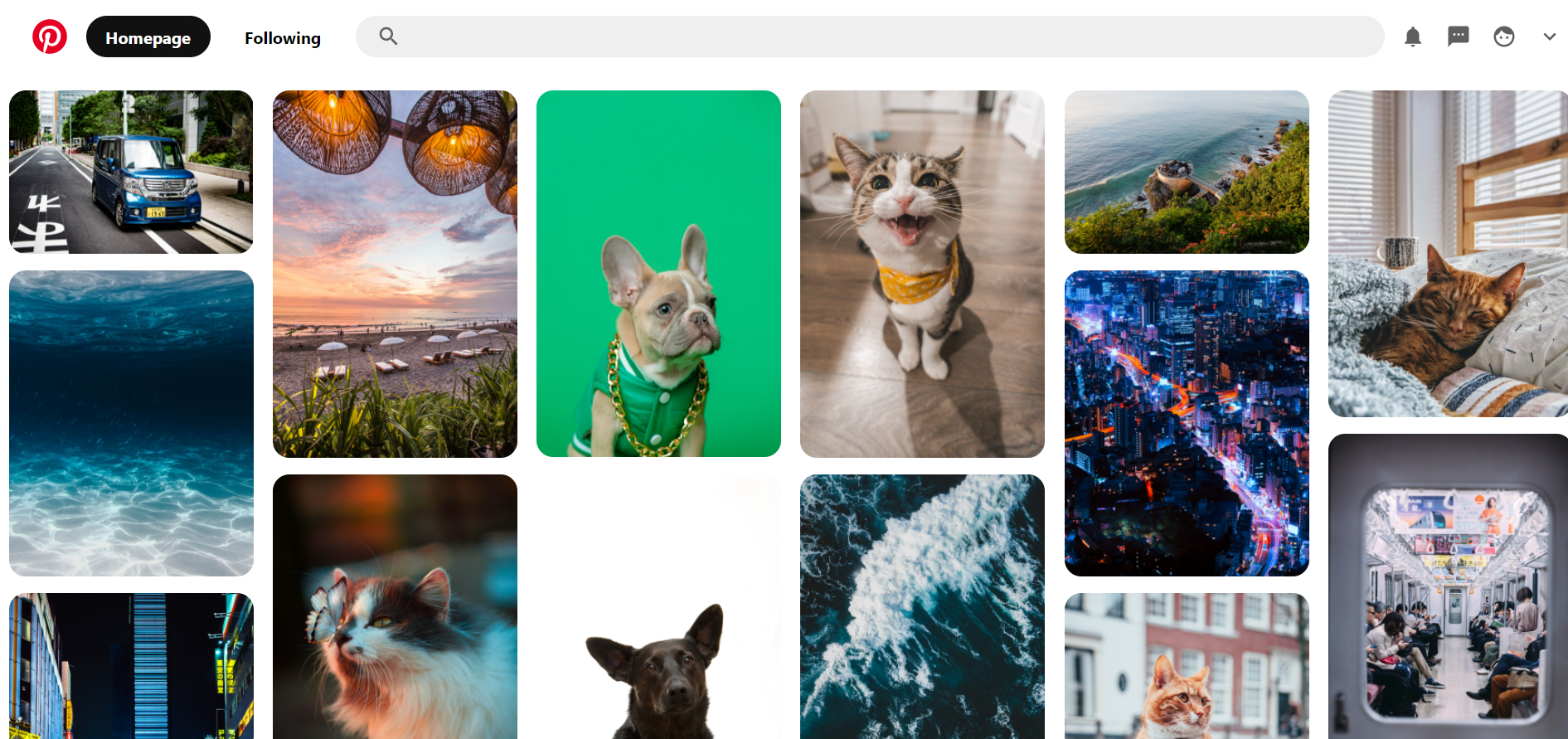 GitHub - himan-21/pinterest-clone: Pinterest Landing Page with search ...