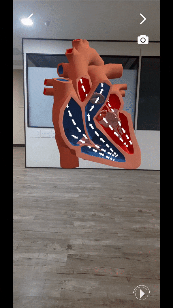 Untitled_design__10__AdobeExpress