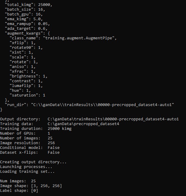 RuntimeError CUDA Out Of Memory Even Though I Have Enough NVlabs