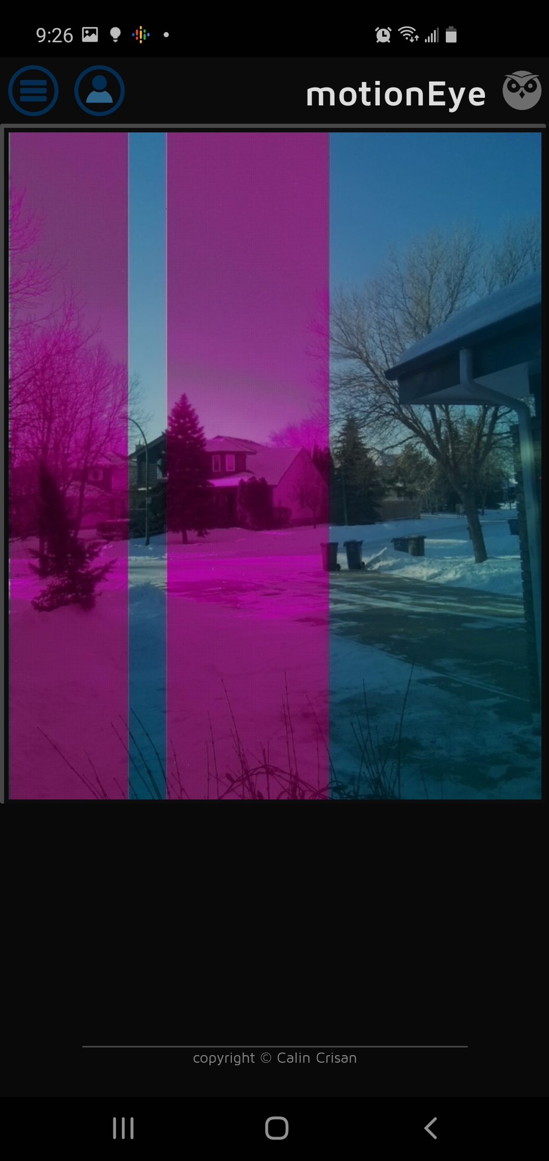 Vertical Pink Bands in Live View / Blue 'negative' images in recorded motion files · Issue 2657