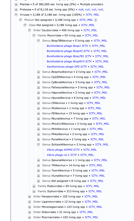 Accept single string virus names · Issue 11 · CatalogueOfLife/retired