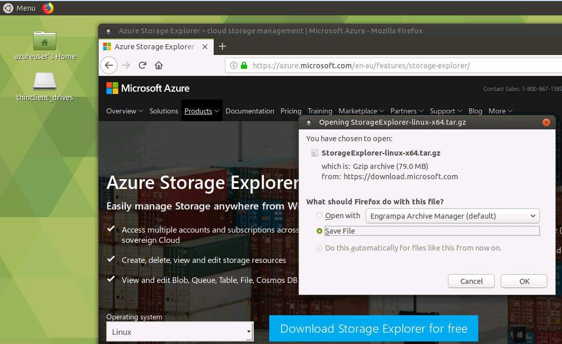 azure storage explorer download