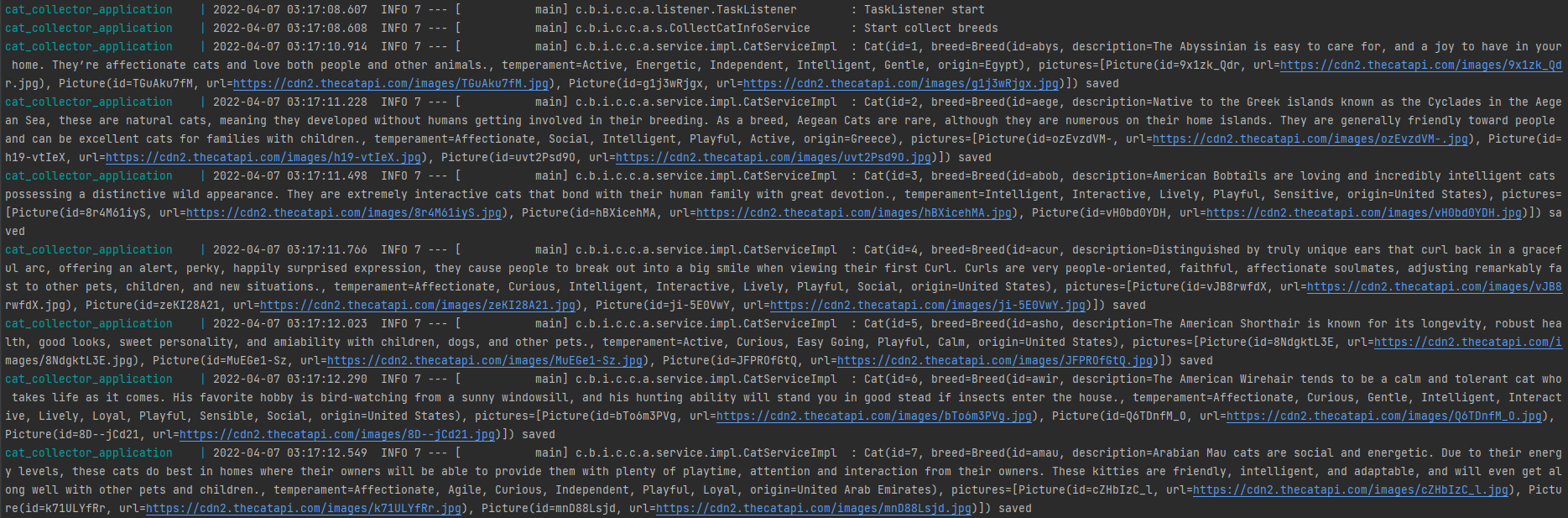Cats Repository Api GitHub - danielrgn/cat-application