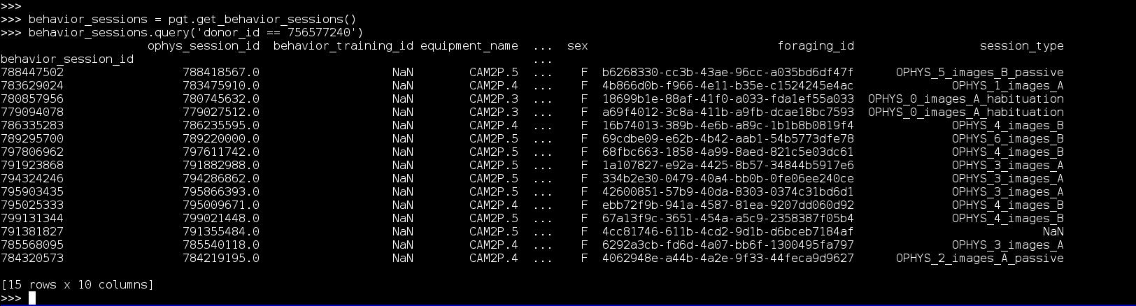 Screen Shot 2020-04-07 at 2 47 28 PM