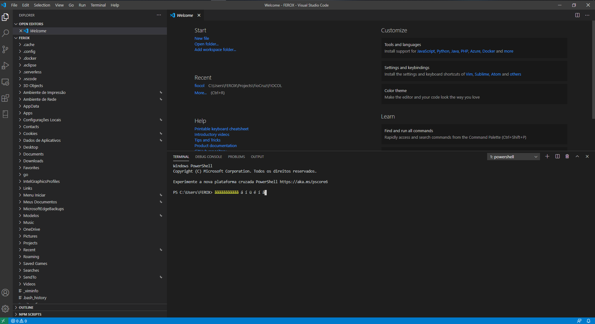 Integrated terminal does not accept special characters like á, à, é, í ...