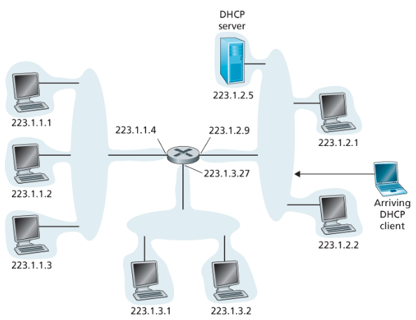 DHCP 클라이언트와 서버