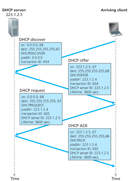 DHCP 동작
