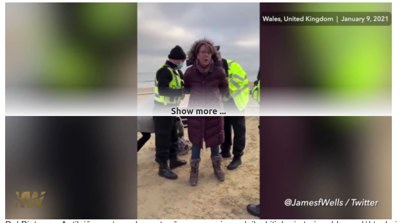 Screenshot_2021-01-24 (1) Laisvas socialinis tinklas Mikas Sakalauskas Laisvas socialinis tinklas