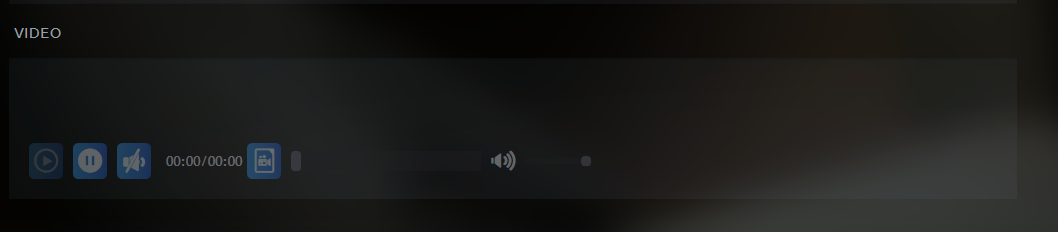 [Extra Metadata Loader ] Videos are not visible in supported themes ...