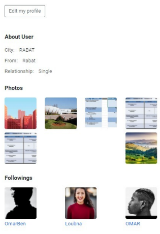 GitHub - lobnaameskane/Social-Network-WebSite: A social Network website ...