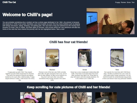 GitHub - ali-hasan97/chilli-the-cat: Chilli the Cat's Web Page!