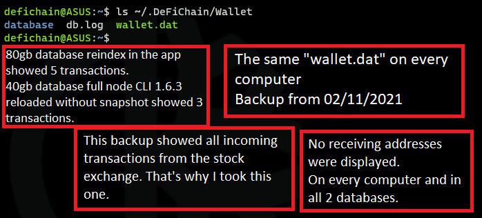 wallet dat from 11 02 2021