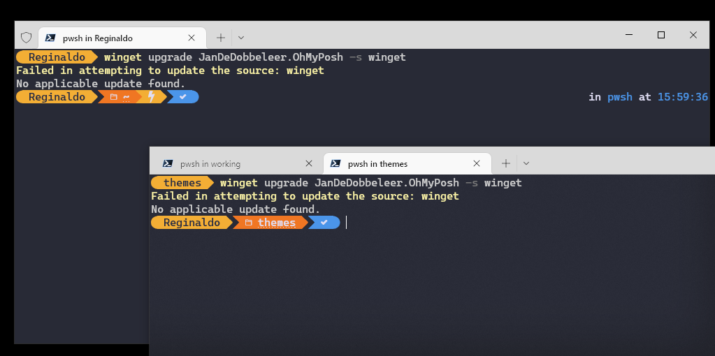 Failed to update · Issue #4438 · JanDeDobbeleer/oh-my-posh · GitHub