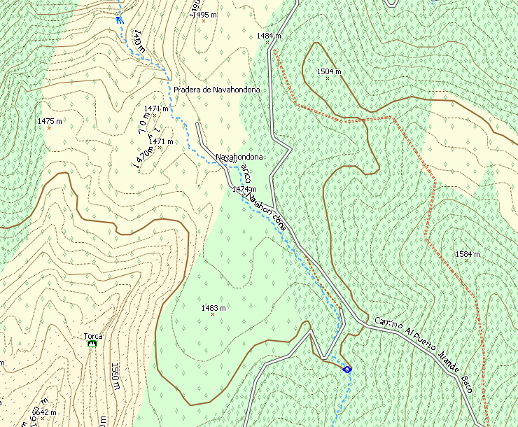Support for extended label on garmin maps. (extendedlabel on typ files