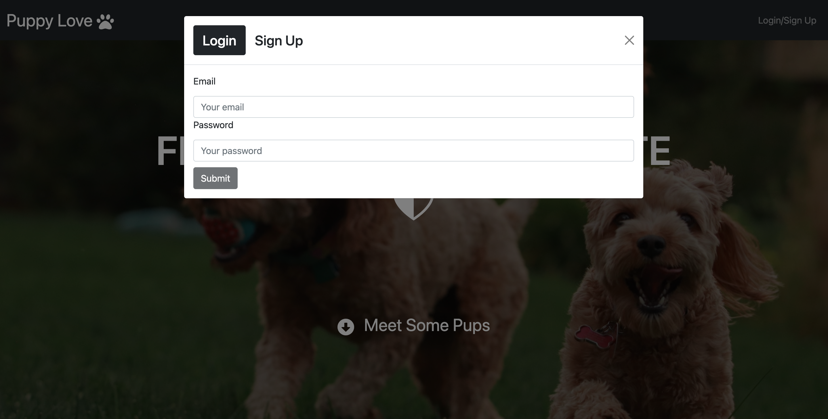 GitHub - MAsuamah/puppy-love: Puppy Love is an app designed to find man ...