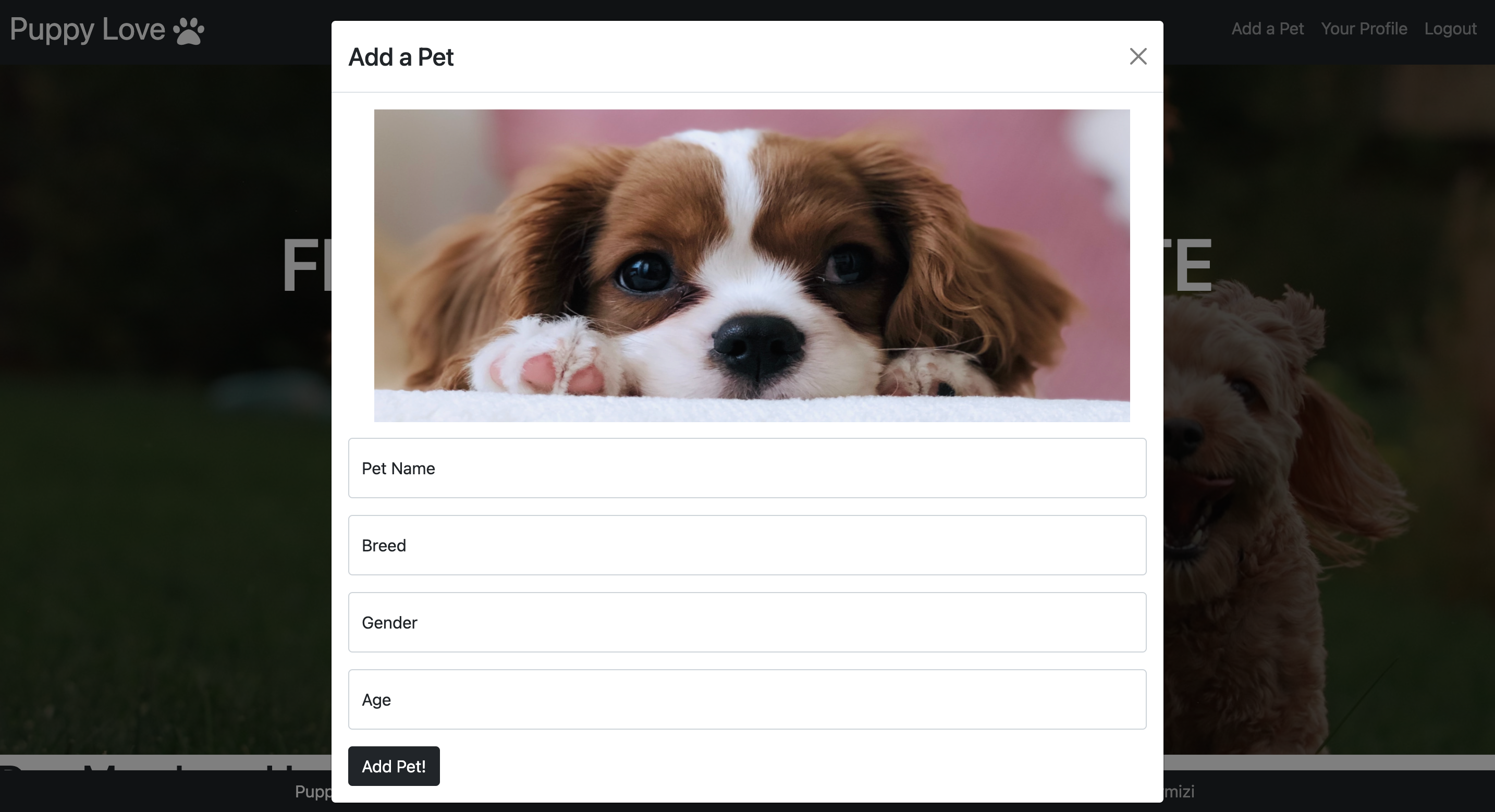 GitHub - MAsuamah/puppy-love: Puppy Love is an app designed to find man ...
