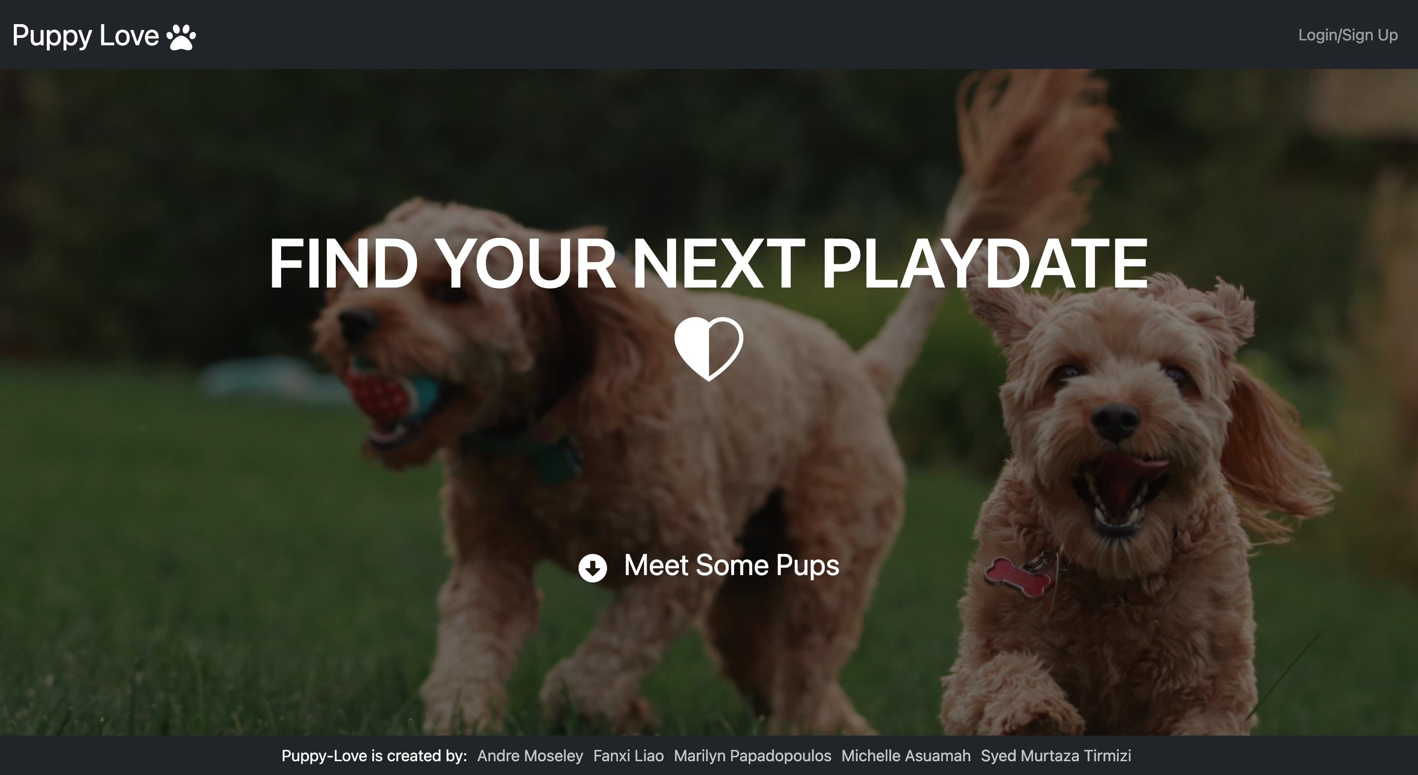 GitHub - MAsuamah/puppy-love: Puppy Love is an app designed to find man ...