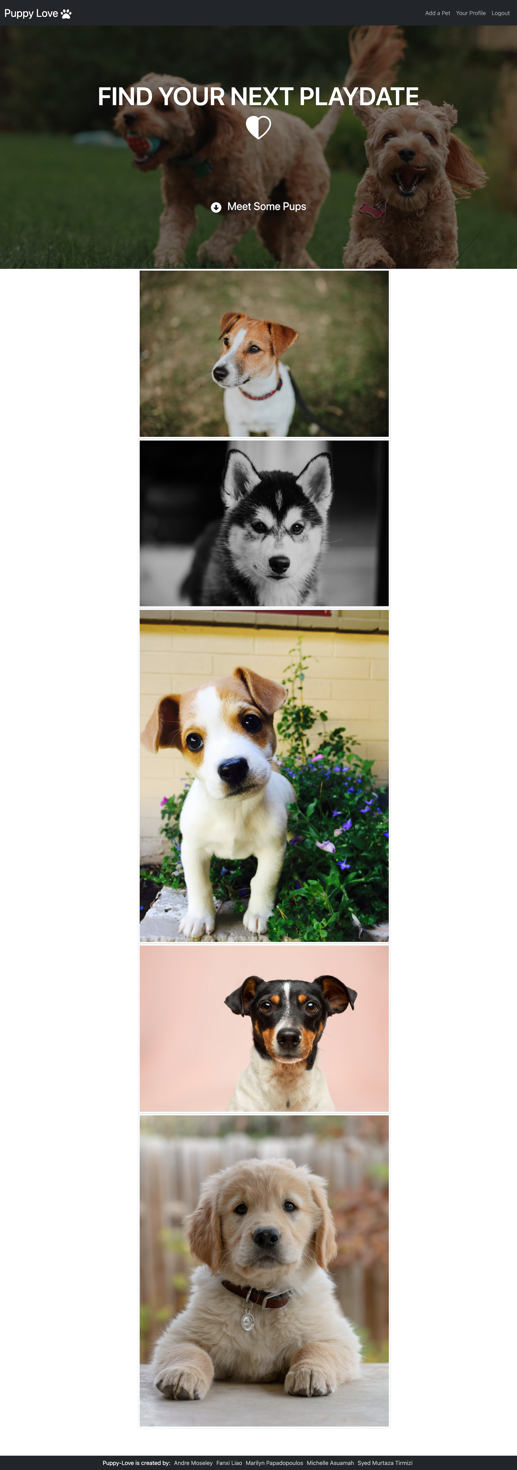 GitHub - MAsuamah/puppy-love: Puppy Love is an app designed to find man ...