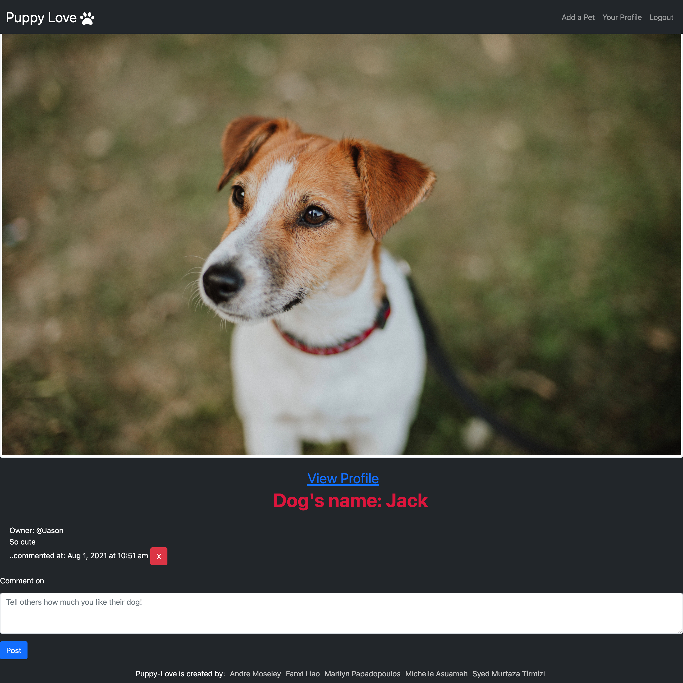 GitHub - MAsuamah/puppy-love: Puppy Love is an app designed to find man ...
