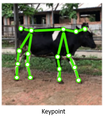 cow keypoint image