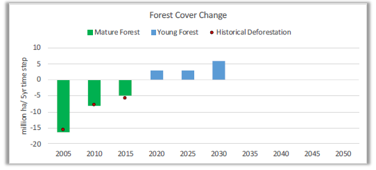 Figure 15. Evolution of forest loss and forest gain