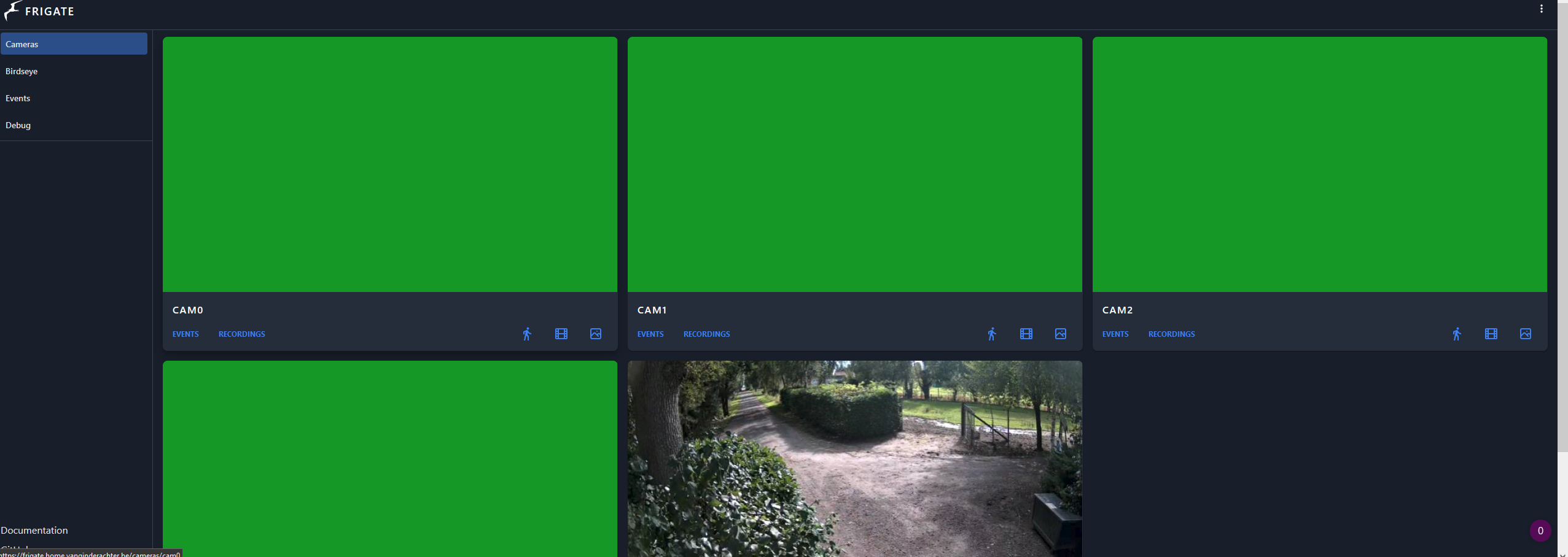 [Config Support] ffmpeg keep crashing after 0.11 update · Issue 3924