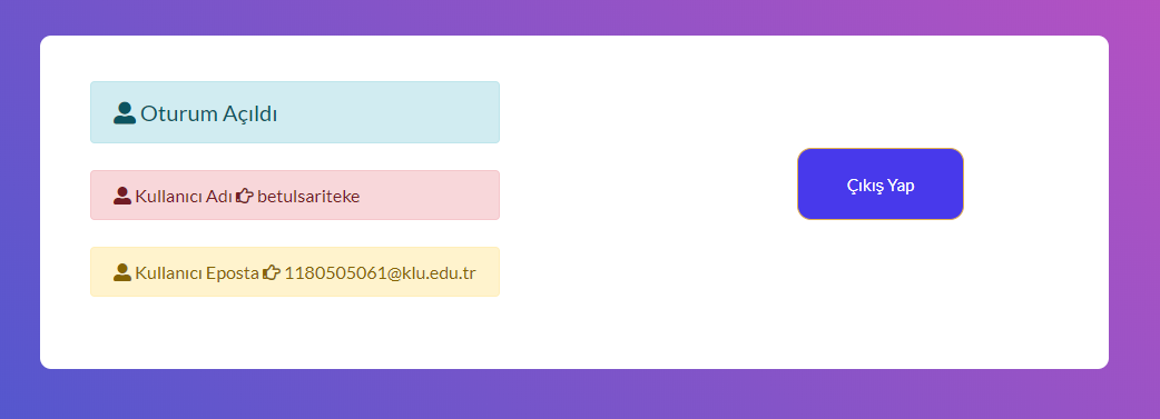 GitHub - BetulS1/Web-Login-Project