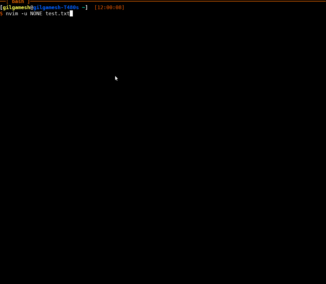 nvim