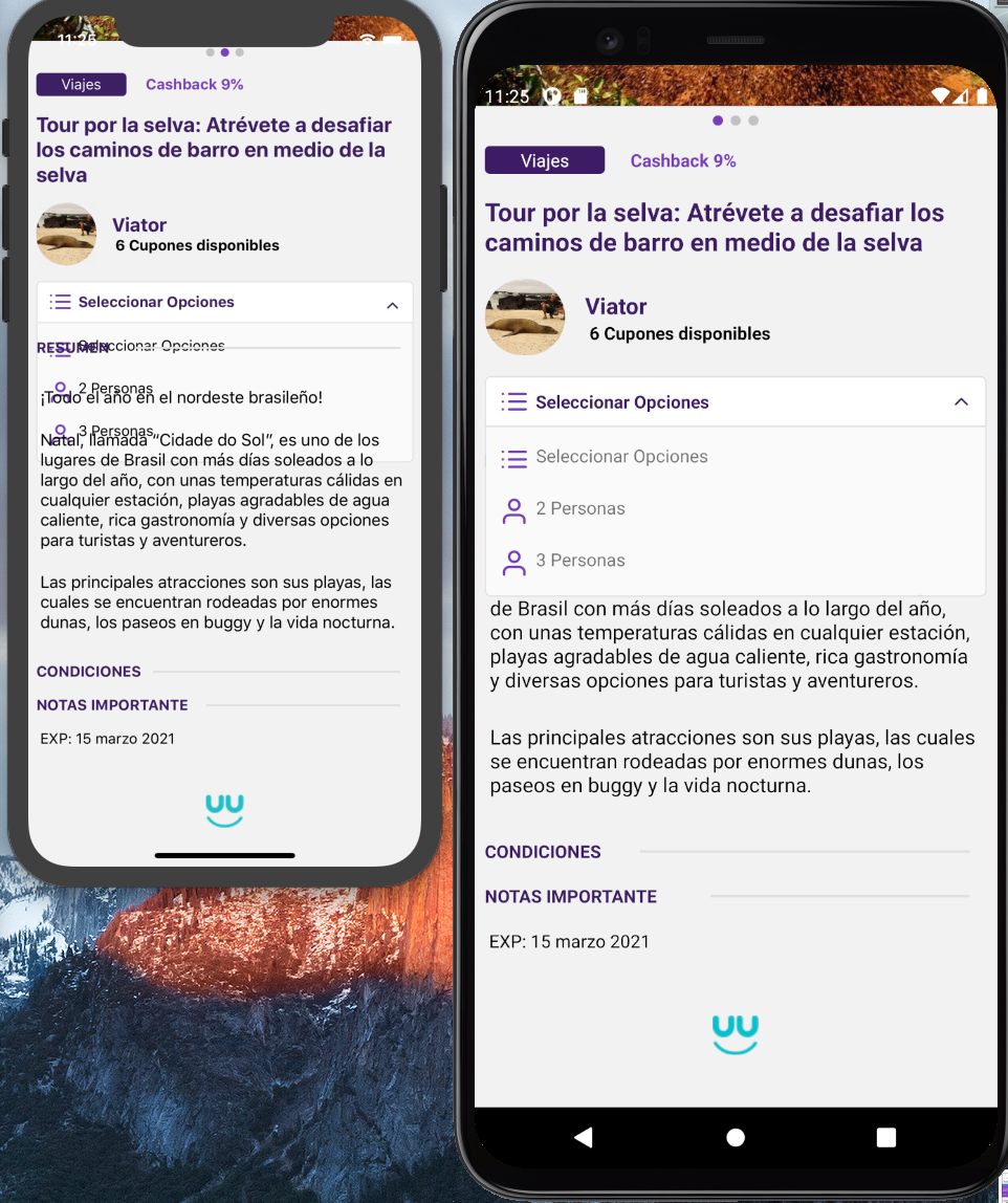 Captura de Pantalla 2021-02-02 a la(s) 11 25 55