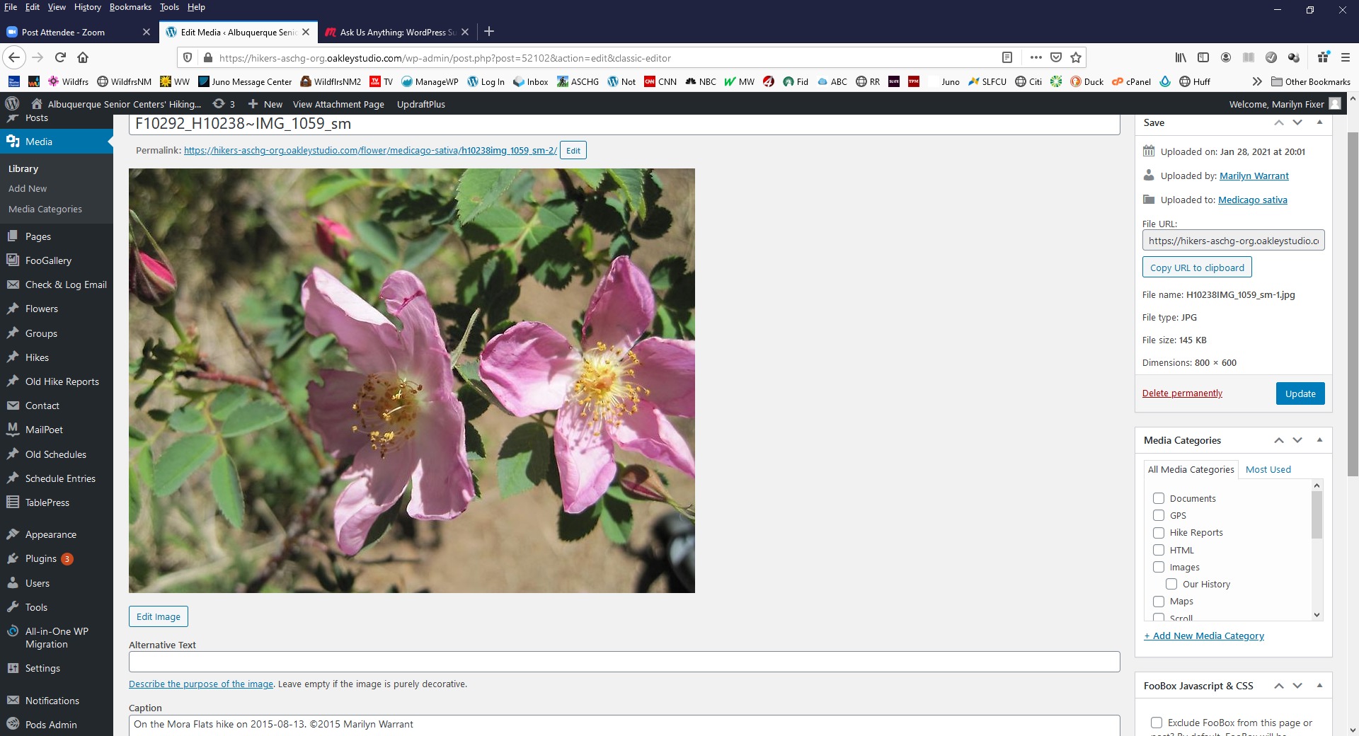 Problem with Title field on a Pods image. · Issue #5928 · pods ...