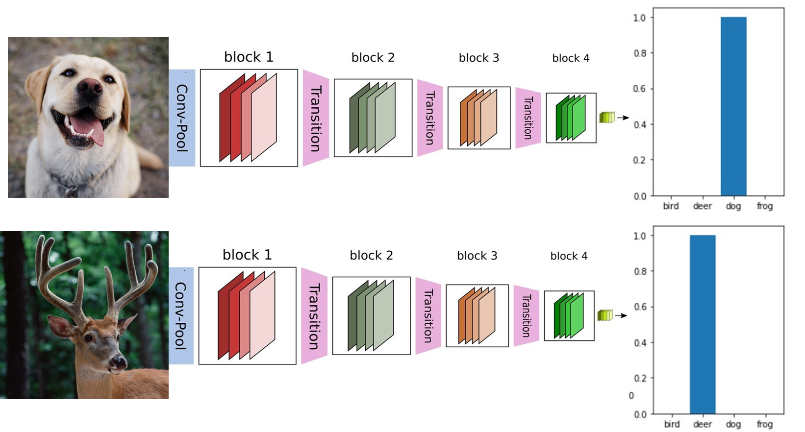 Github dcl lawrence animal classification