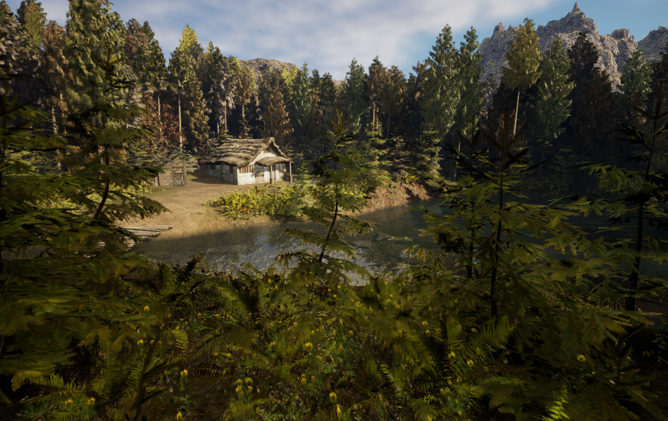 A cabin in the woods: Afternoon