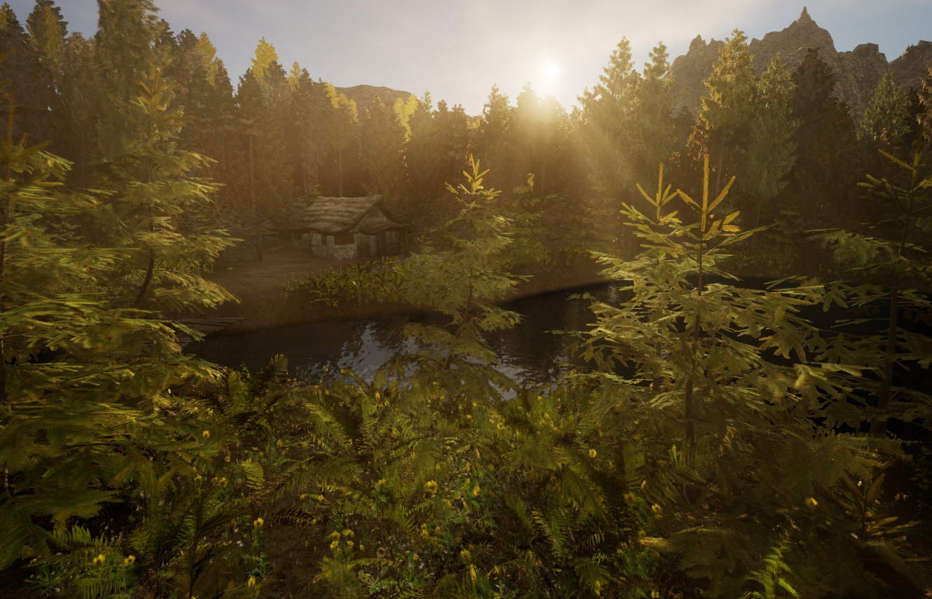 A cabin in the woods: Morning