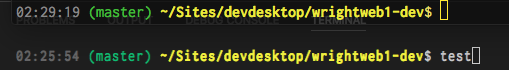 Screenshot: top is Terminal, bottom is VSCode, same font and size