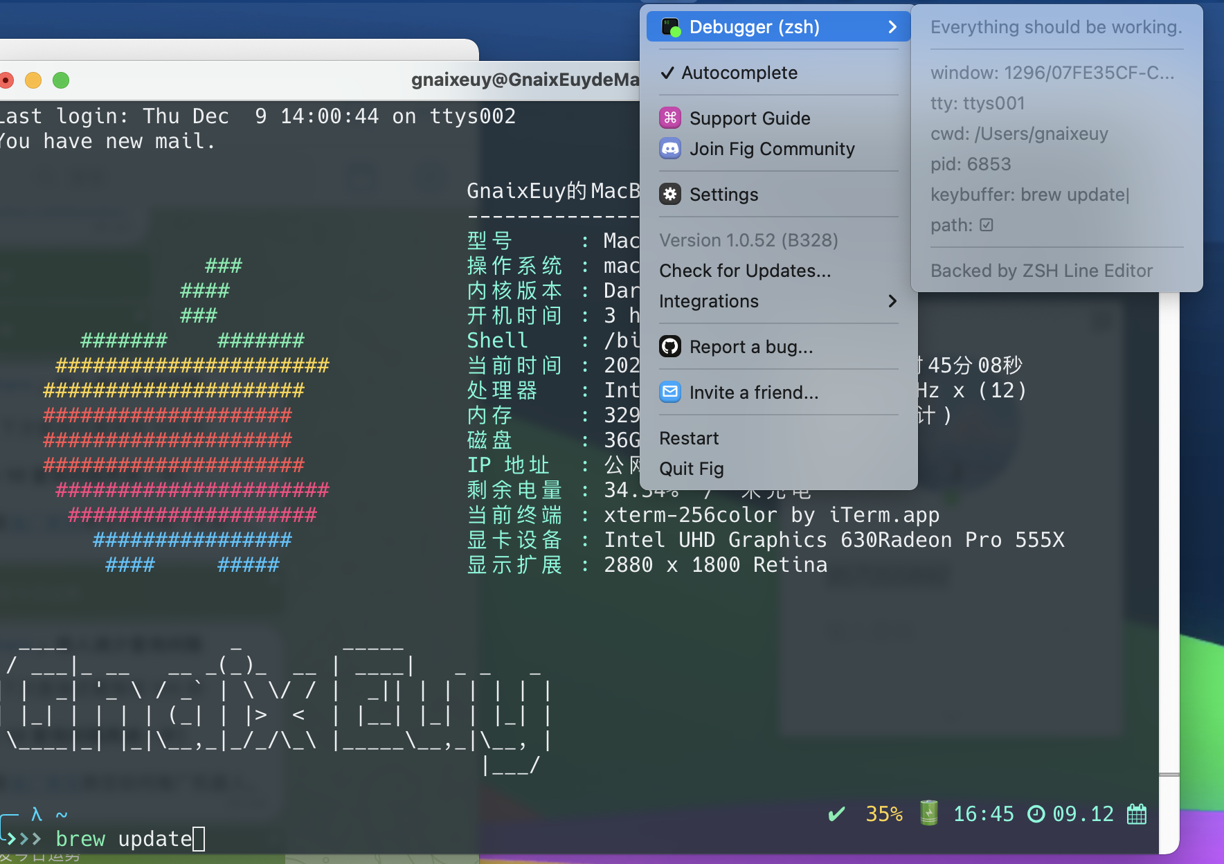 about fig short duration failure · Issue #671 · withfig/fig · GitHub