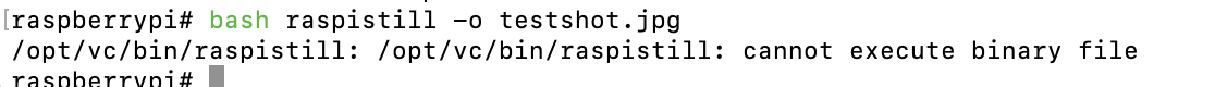 raspistill doesn't work on aarch64 · Issue #1584 · raspberrypi/firmware ...