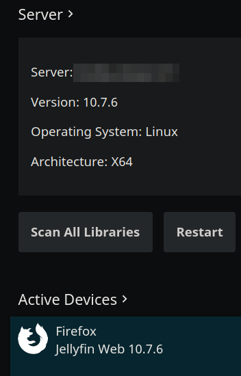 [Issue]: Not all files in a folder are scanned · Issue #6828 · jellyfin ...
