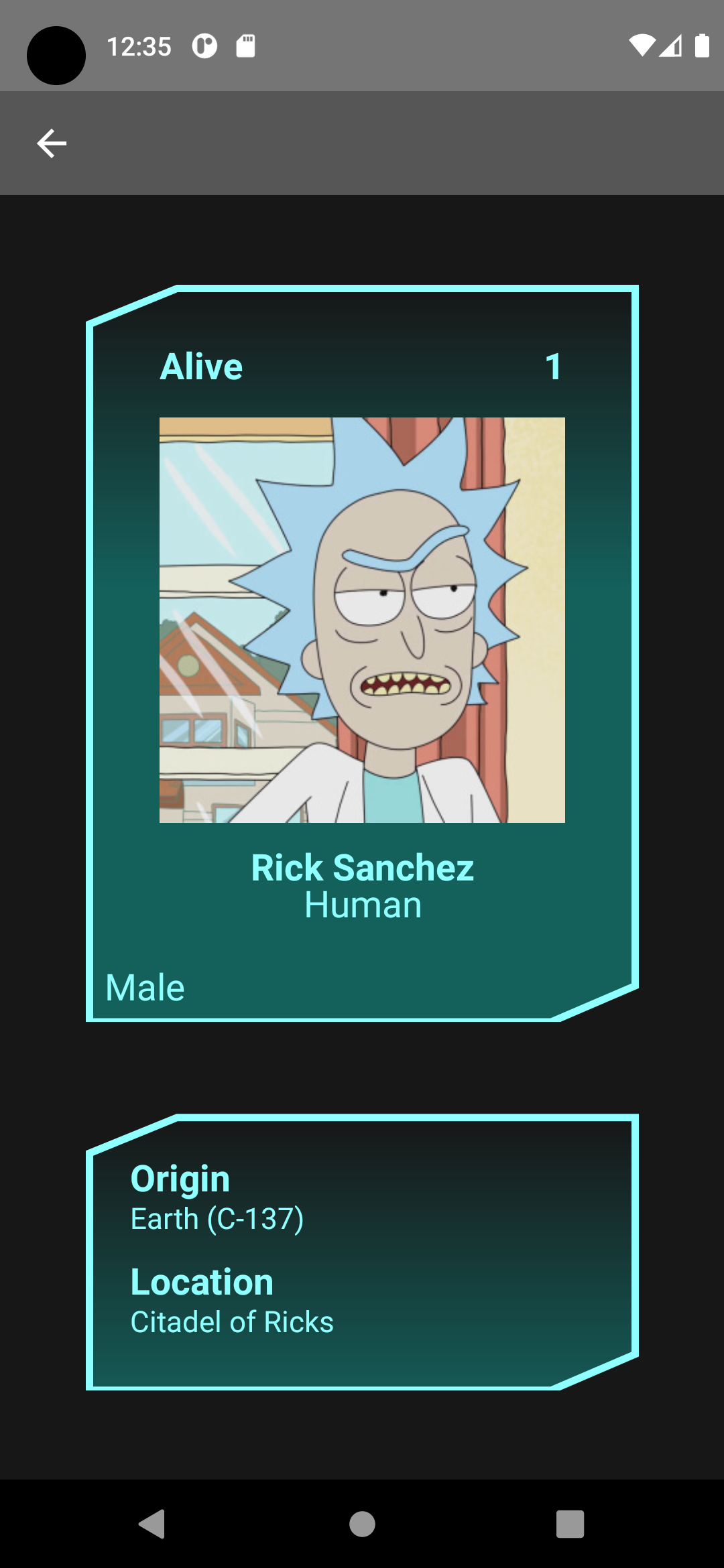 GitHub - alqae/rick-and-mort-app: The new Rick and Morty application ...