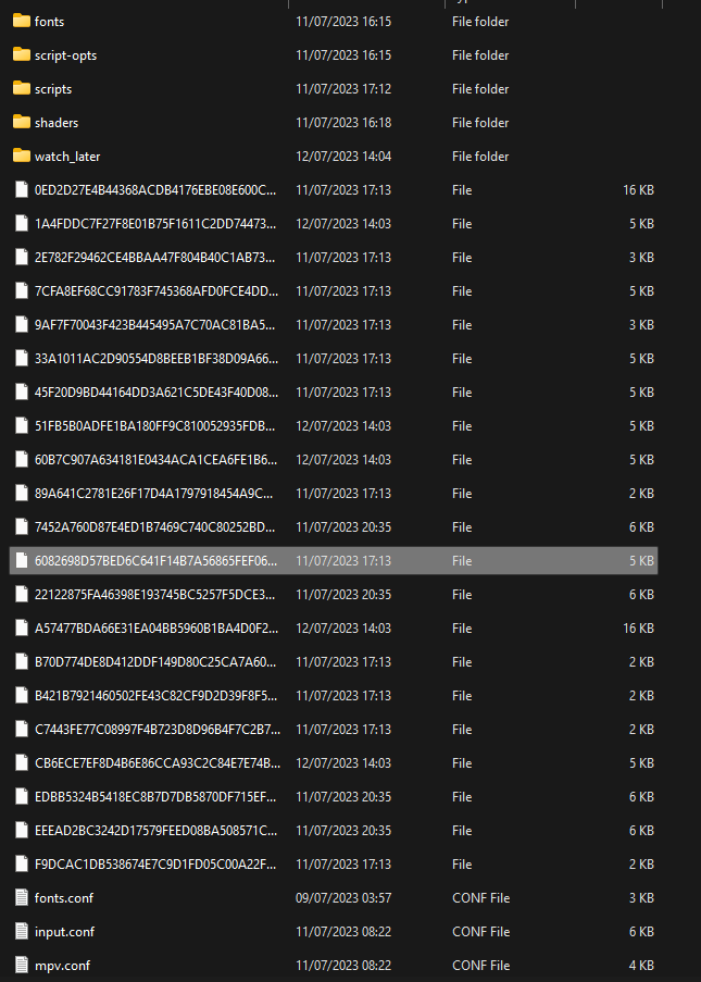 Why are these "shader cache v1" files in my portable_config? · Issue