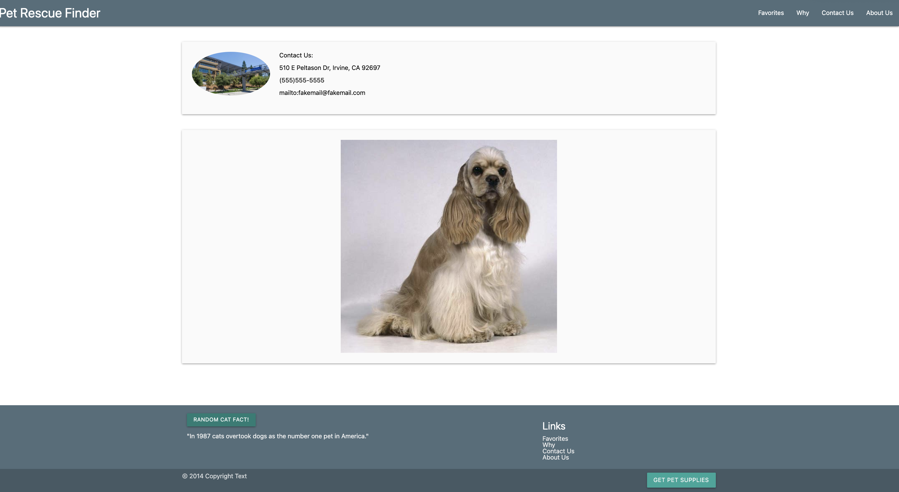 GitHub - Michaelsafarii/Group-Project-Dogs · GitHub