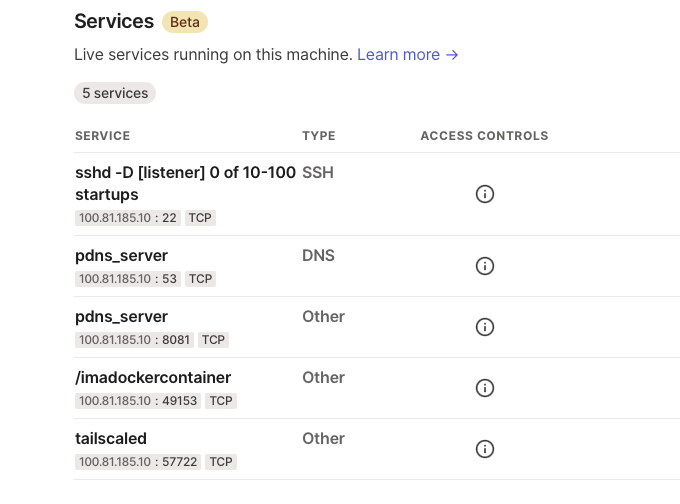 Services show the container's name instead of just "dockerproxy" for