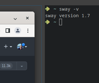 App not fit tightly inside frame · Issue #7239 · swaywm/sway · GitHub