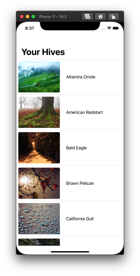 Screen Shot 2021-05-18 at 8 37 01 PM