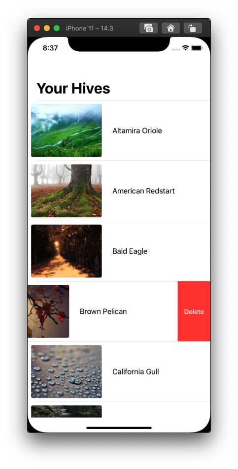 Screen Shot 2021-05-18 at 8 37 05 PM