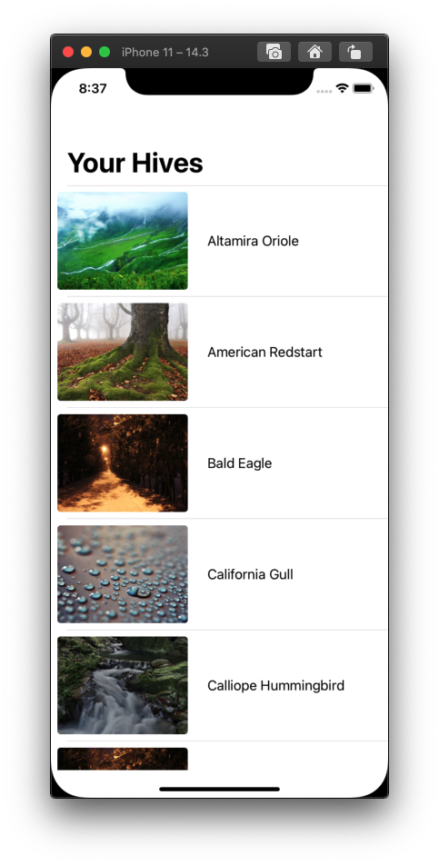 Screen Shot 2021-05-18 at 8 37 09 PM