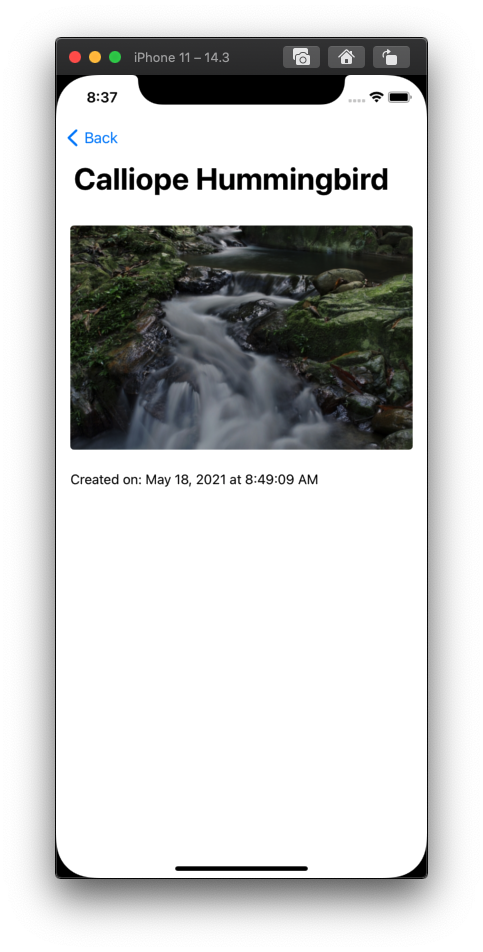 Screen Shot 2021-05-18 at 8 37 14 PM