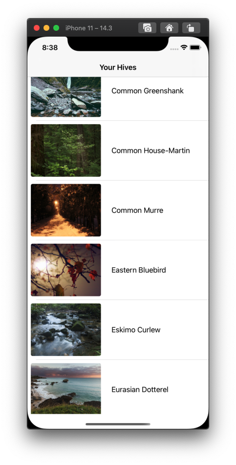 Screen Shot 2021-05-18 at 8 38 08 PM