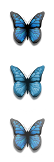 start_button-blue